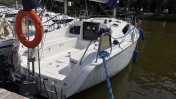 PHOBOS 25